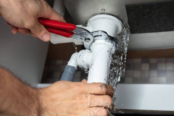 Best Mold removal after water damage  in Esparto, CA