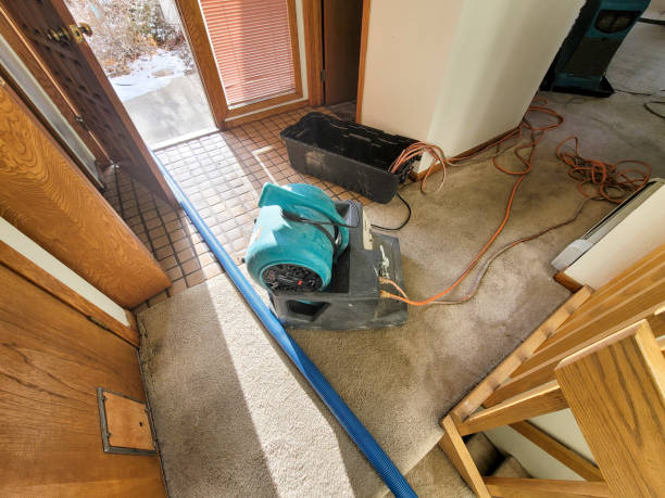 Best Flood restoration services  in Esparto, CA