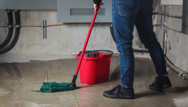 Best Water damage restoration insurance claims  in Esparto, CA