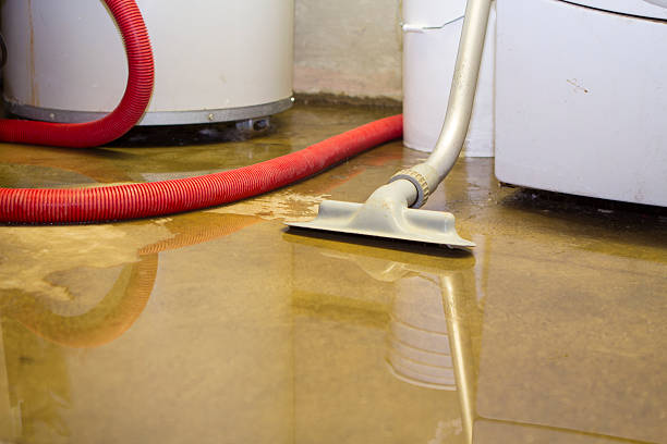 Best Professional water damage repair  in Esparto, CA