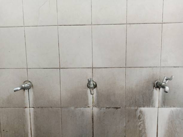 Best Flood restoration services  in Esparto, CA