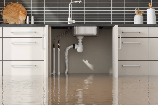 Best 24-hour water damage restoration  in Esparto, CA