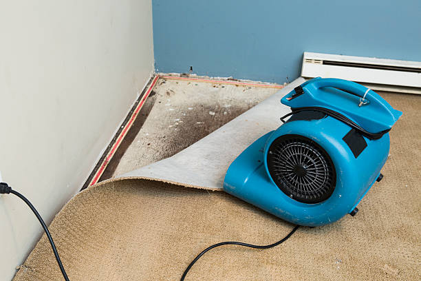 Water damage restoration insurance claims in Esparto, CA